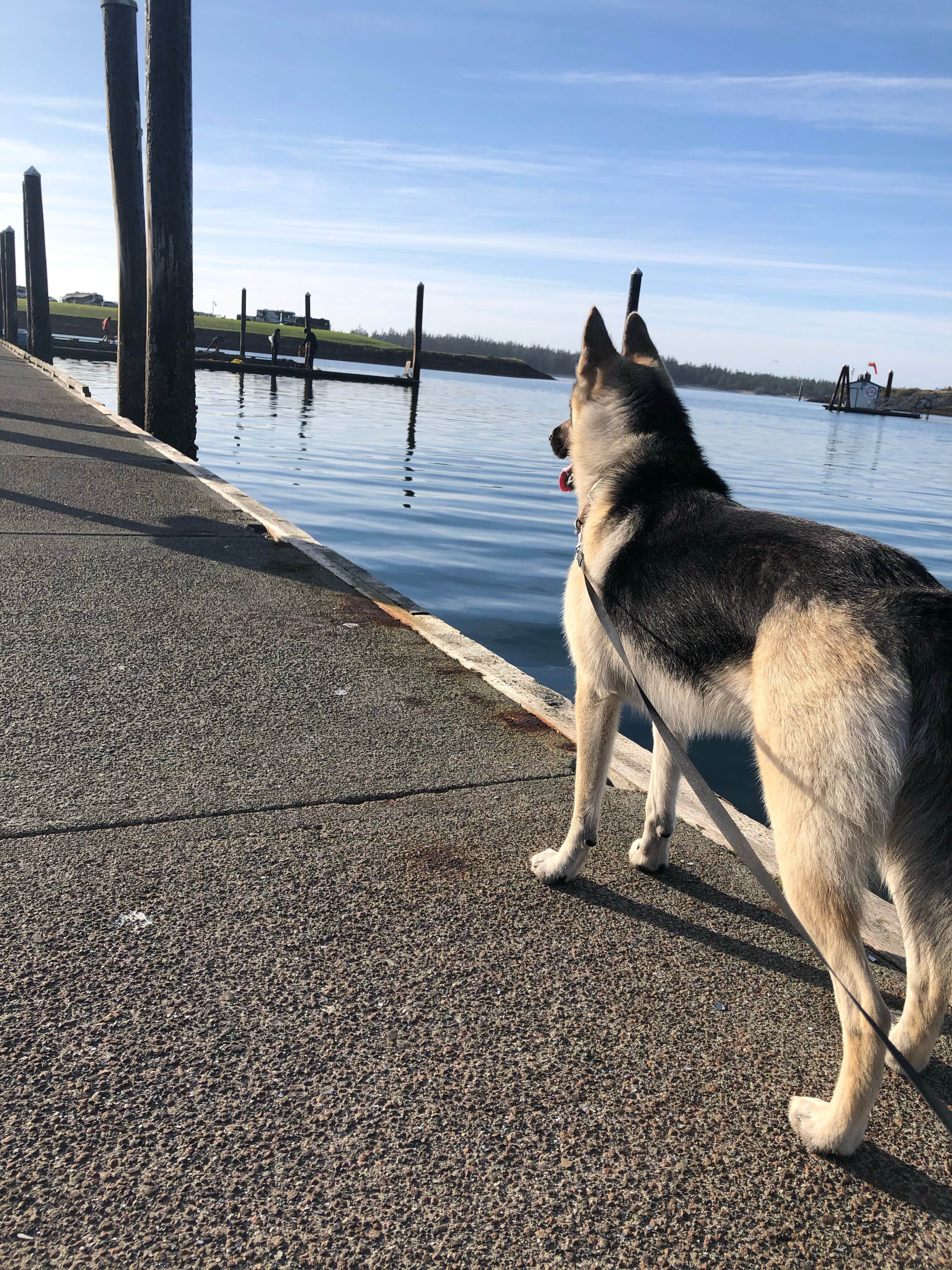 Camper-submitted photo at Salmon Harbor Marina near Florence, OR