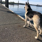 Review photo of Salmon Harbor Marina by trisha Y., October 18, 2021