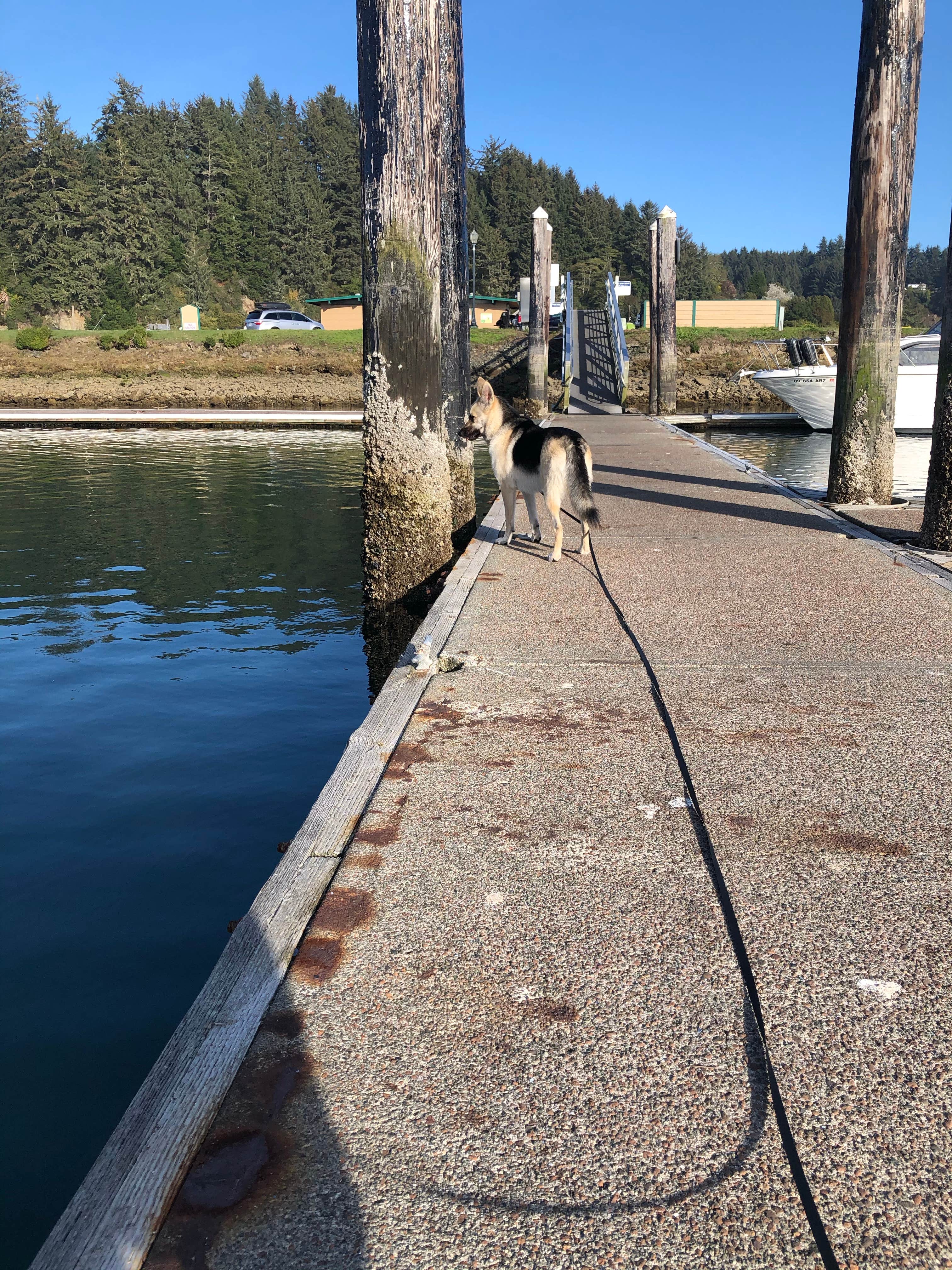 Camper submitted image from Salmon Harbor Marina - 5