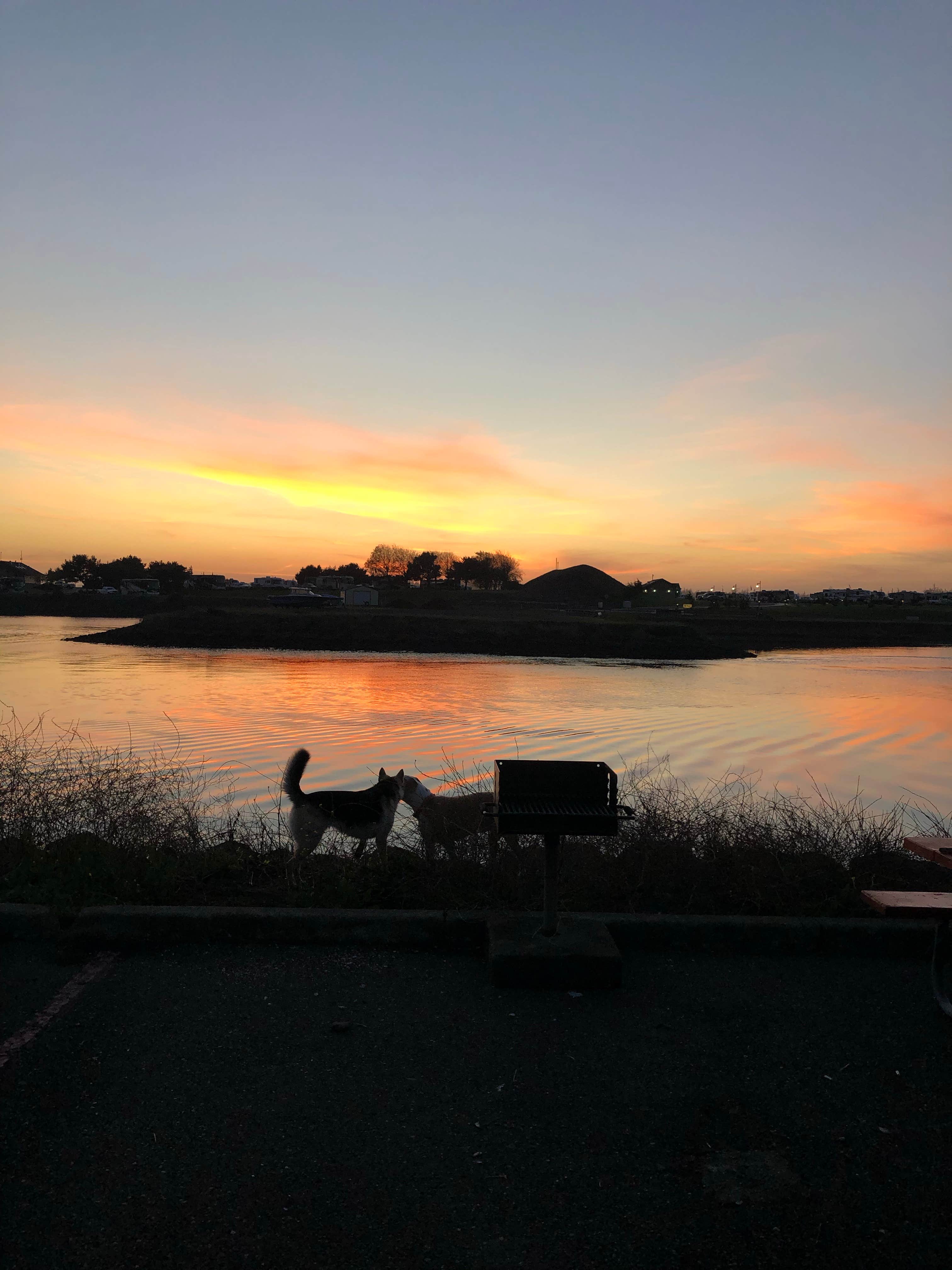 Camper-submitted photo at Salmon Harbor Marina near Florence, OR
