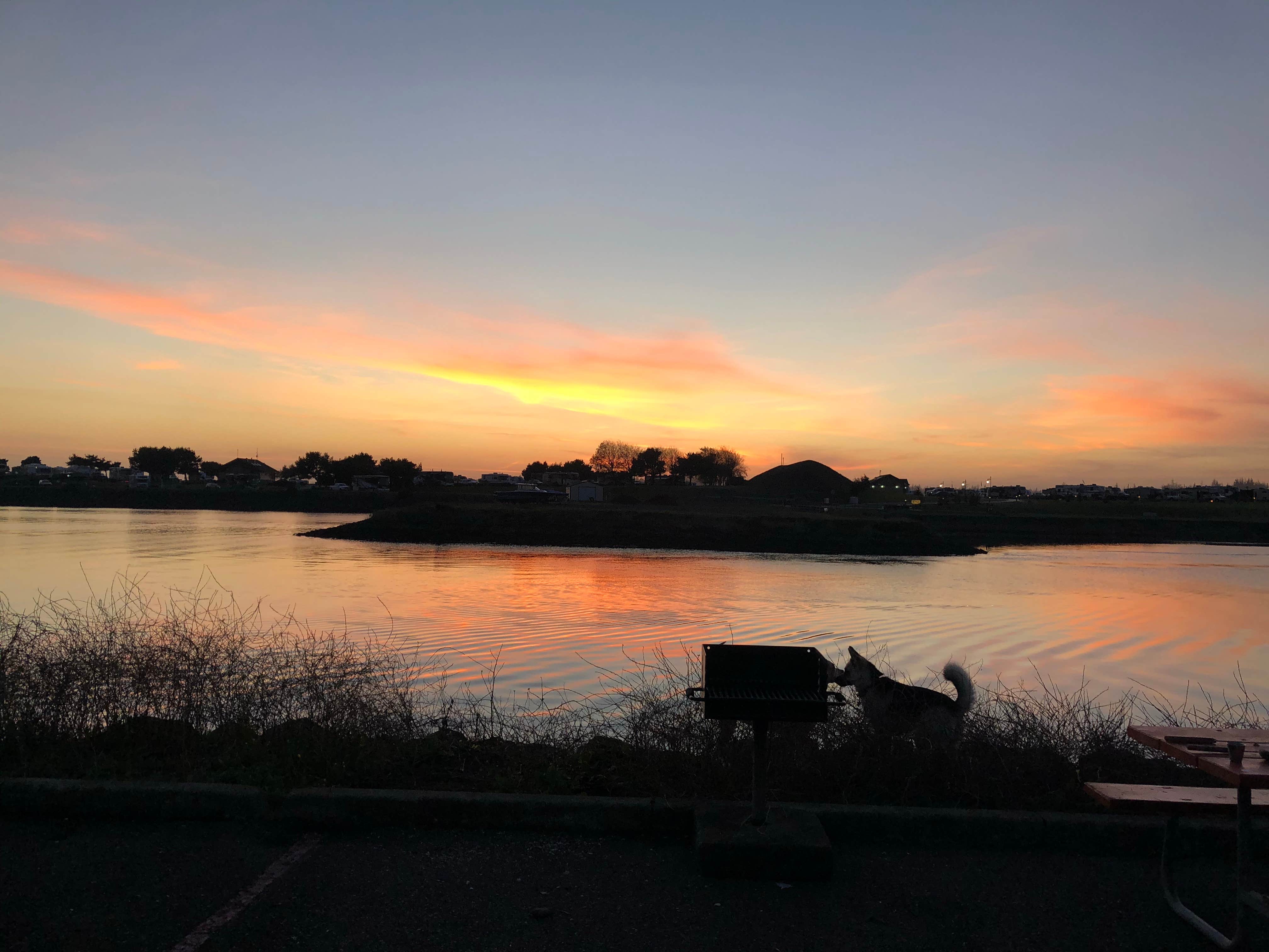Camper-submitted photo at Salmon Harbor Marina near Florence, OR