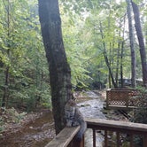 Review photo of Mountain Stream RV Park by Kara L., October 18, 2021