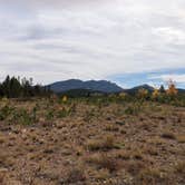 Review photo of West Magnolia Campground by N I., October 18, 2021