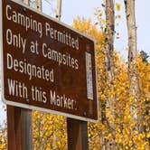 Review photo of West Magnolia Campground by N I., October 18, 2021