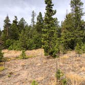 Review photo of West Magnolia Campground by N I., October 18, 2021