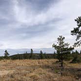 Review photo of Kelly Dahl by N I., October 18, 2021