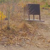 Review photo of Kelly Dahl by N I., October 18, 2021