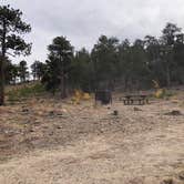 Review photo of Kelly Dahl by N I., October 18, 2021