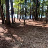 Review photo of Hamilton Branch State Park Campground by Claire O., October 18, 2021