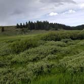 Review photo of Bighorn National Forest by vanessa  G., July 2, 2018