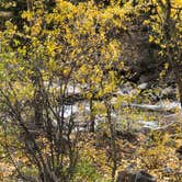 Review photo of Mount Princeton by N I., October 18, 2021