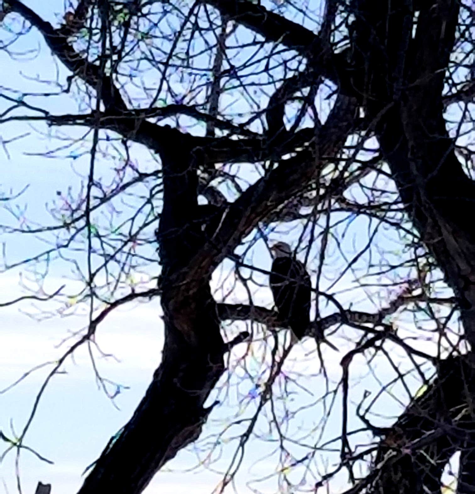 Camper submitted image from Bighorn National Forest - 5