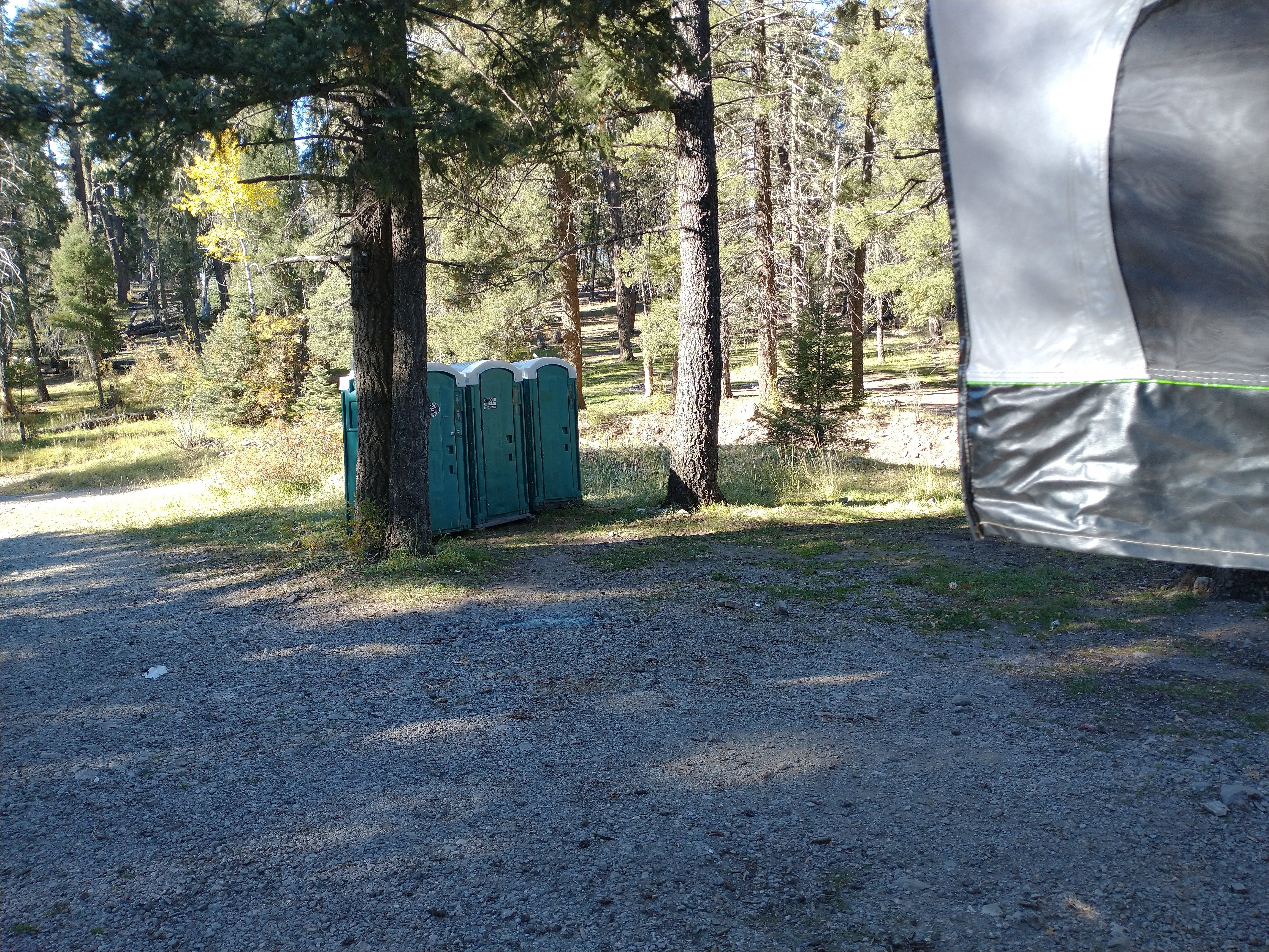 Camper submitted image from Forest Road 568 - Dispersed Camping - 5