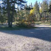 Review photo of Forest Road 568 - Dispersed Camping by Alexei M., October 18, 2021