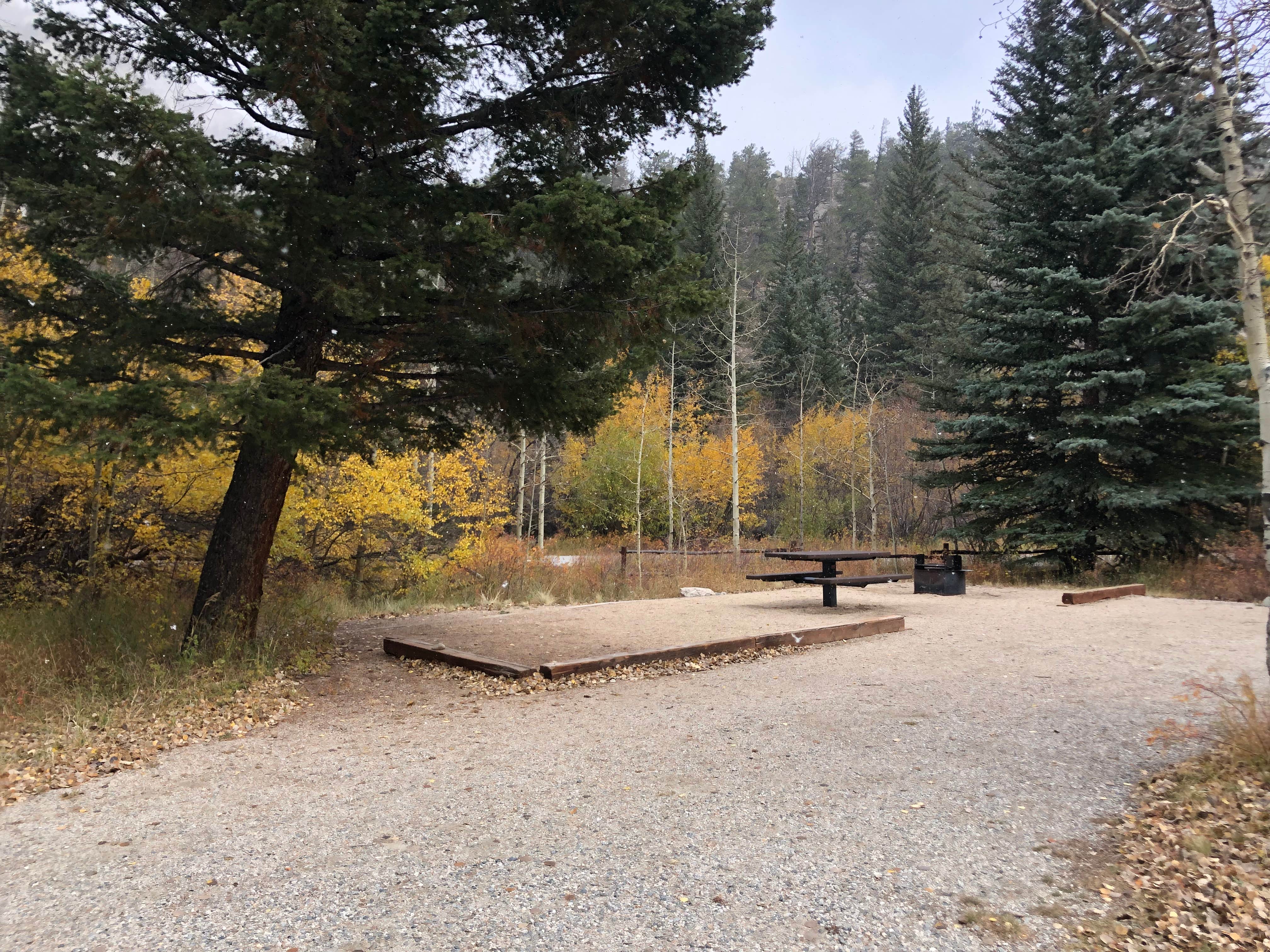 Camper submitted image from Cascade (colorado) - 2