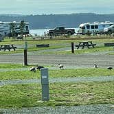 Review photo of Bay Point Landing by Carole B., October 18, 2021