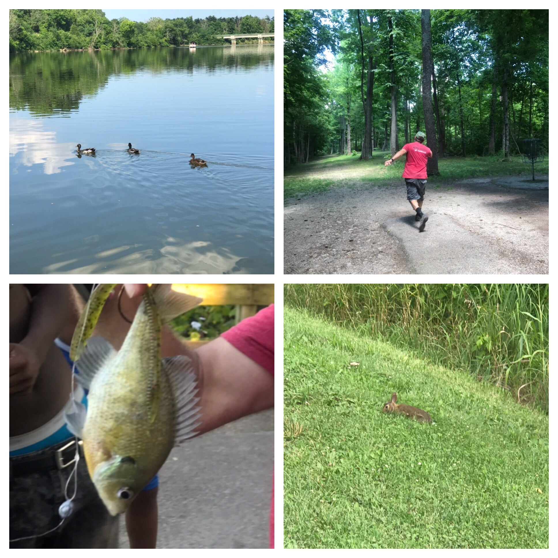 First fish of year.  Disc Golf and some wild life at the park