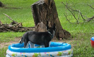 Jessica C.'s photo of camping with pets at Texana Park & Campground near Cuero, TX