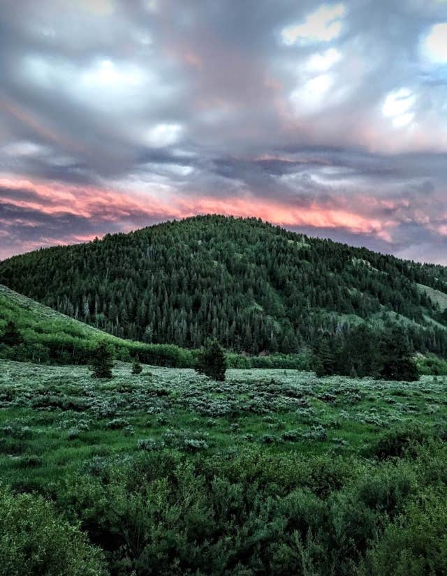 Allred Flat Camping Afton, WY