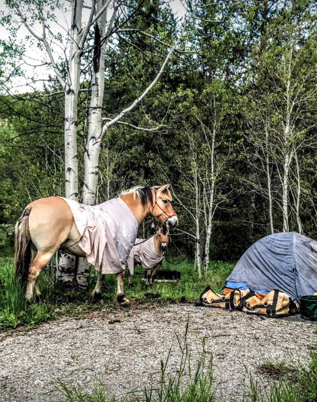 Camper submitted image from Allred Flat - 5