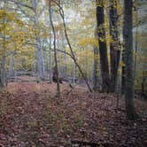 Review photo of Four Coves Campground — Beech Fork State Park by Sarah R., October 19, 2021