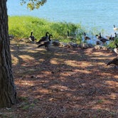 Review photo of Craighead Forest Park by Kyle , October 19, 2021