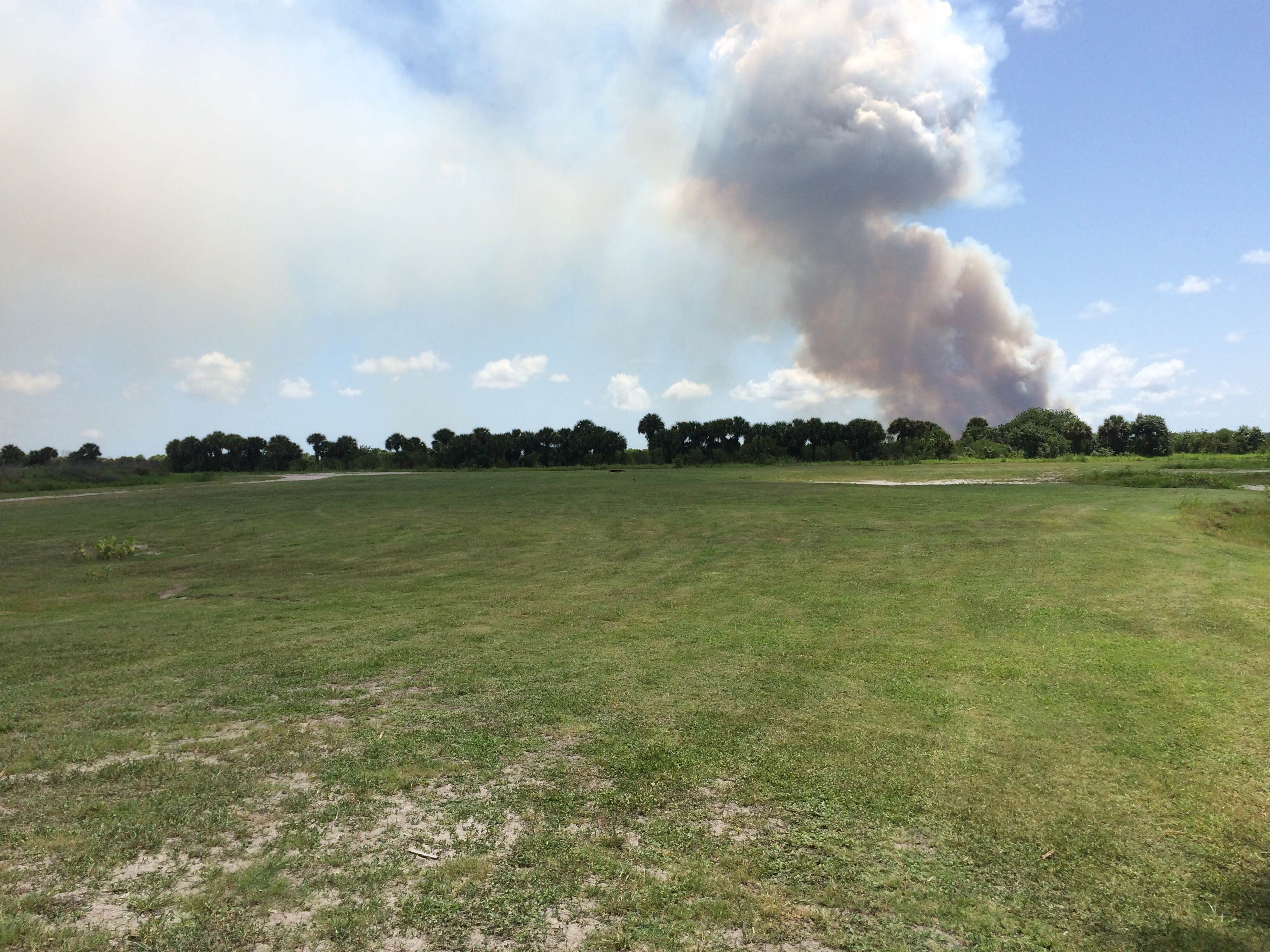 Camper-submitted photo at Hatbill Park near Sharpes, FL