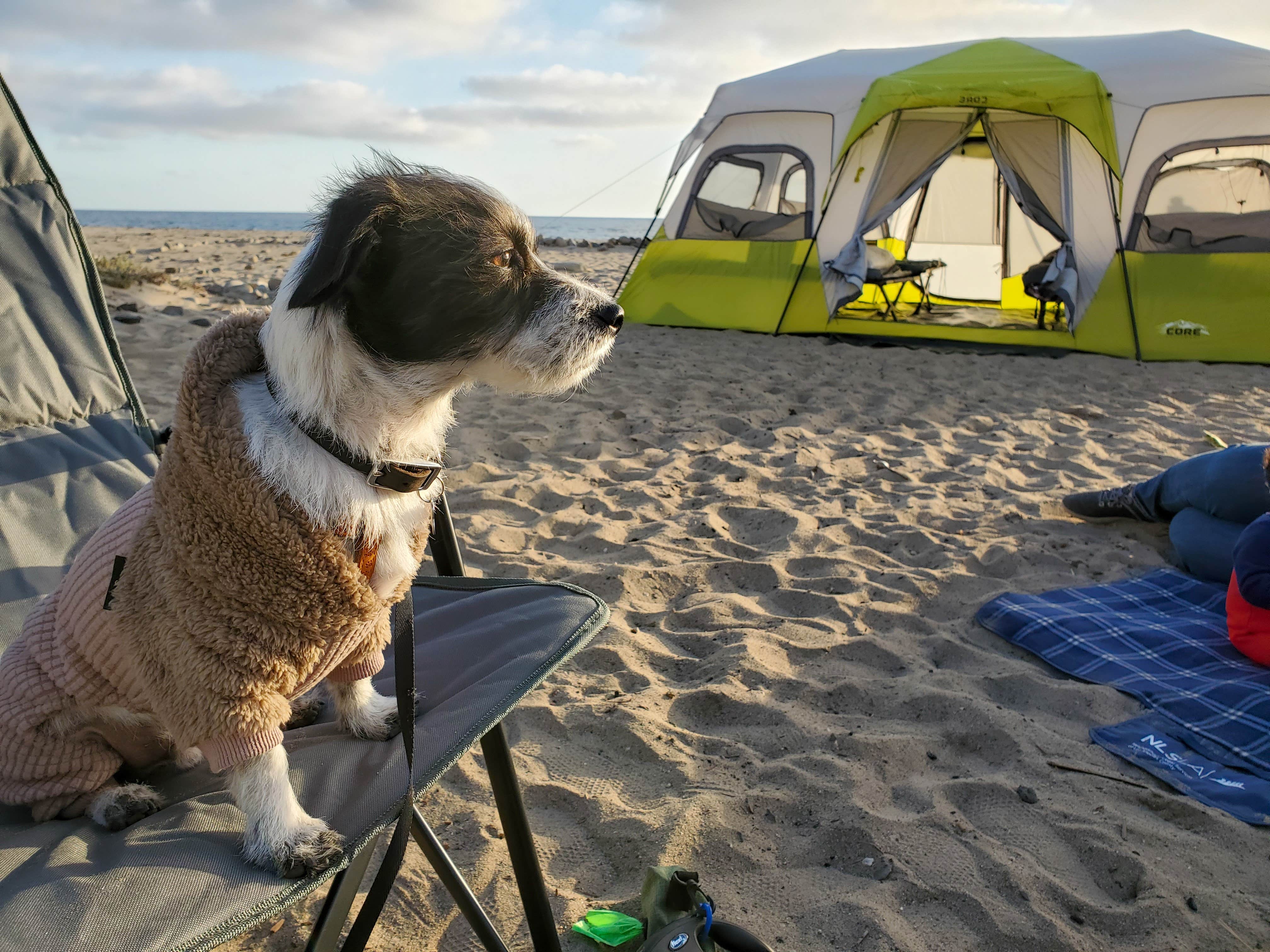 Camper-submitted photo at Thornhill Broome Beach — Point Mugu State Park near Moorpark, CA