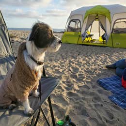 Thornhill Broome Beach — Point Mugu State Park