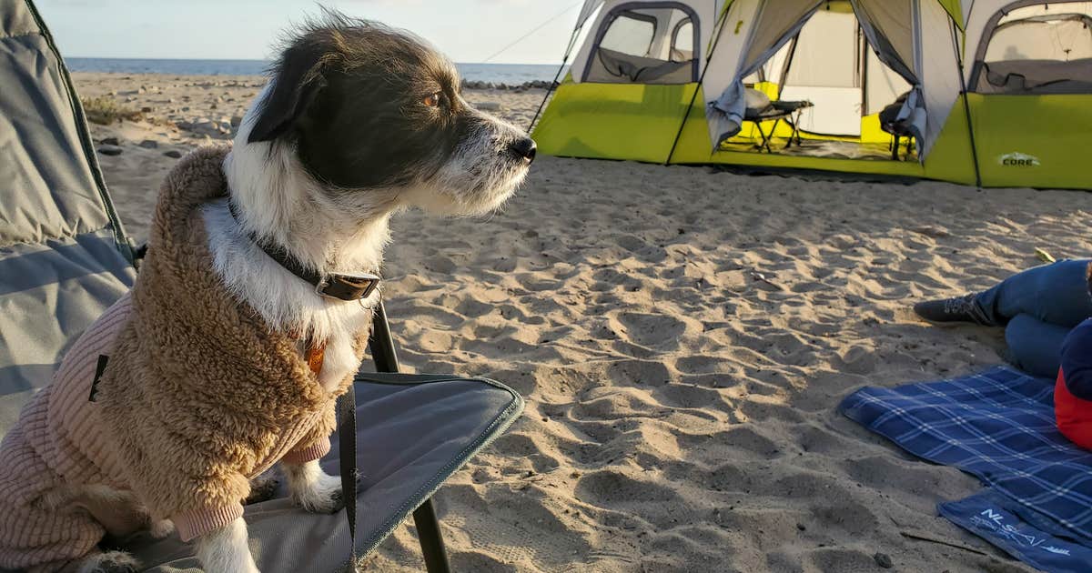 Thornhill Broome Beach — Point Mugu State Park