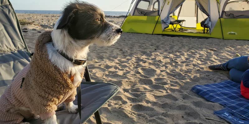Camper submitted image from Thornhill Broome Beach — Point Mugu State Park