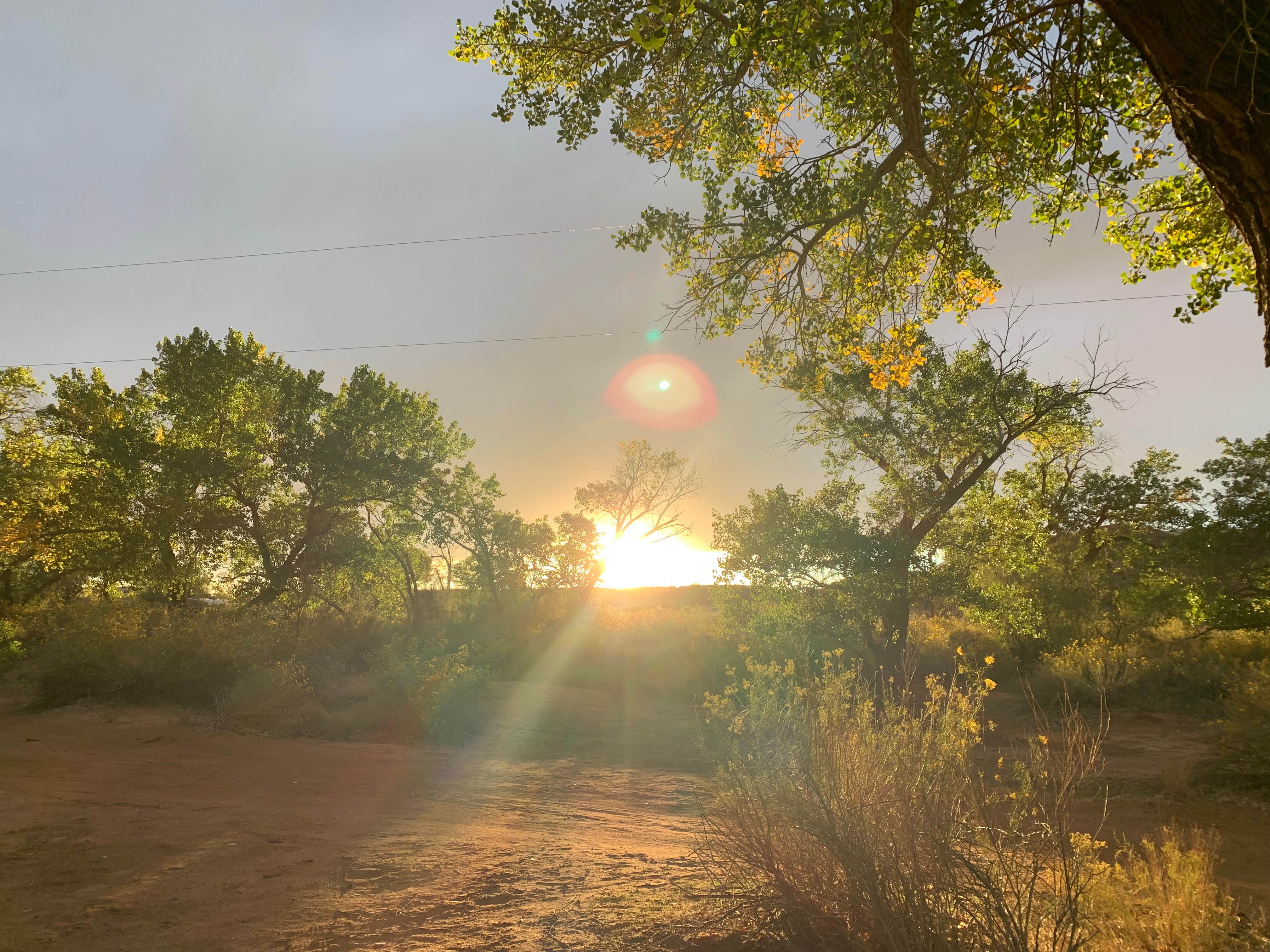 liz P.'s photo of a dispersed camping area at North Creek Dispersed Camping near Cedar City, UT