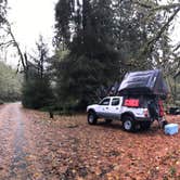 Review photo of Hoh Rain Forest - Olympic National Park by Kuo G., July 4, 2018