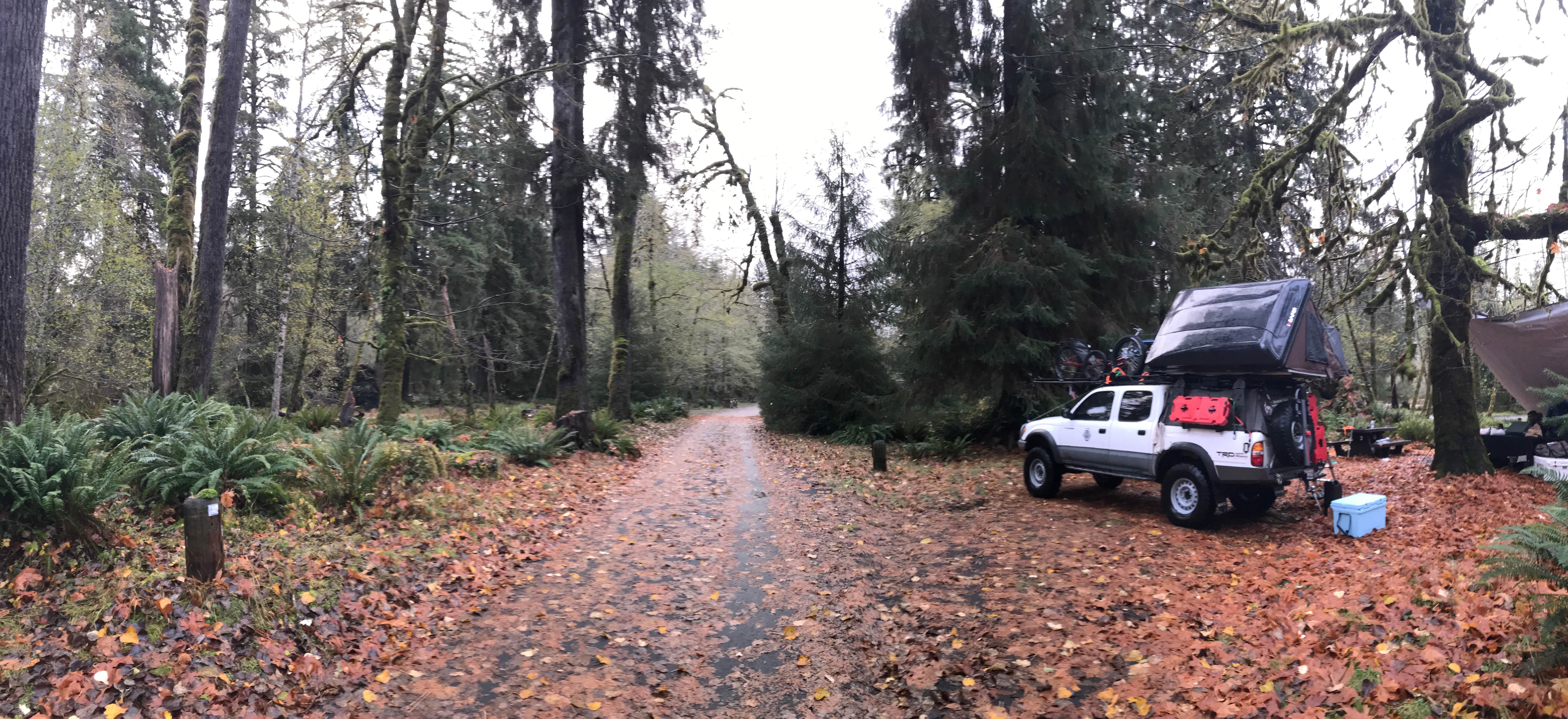 Camper submitted image from Hoh Campground — Olympic National Park - 2