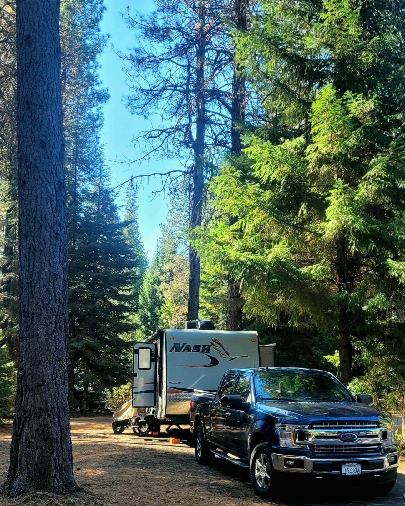 Camper-submitted photo at Crater Lake RV Park near Trail, OR
