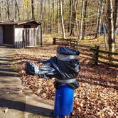 Review photo of Copper Falls State Park Campground by Fred S., October 19, 2021