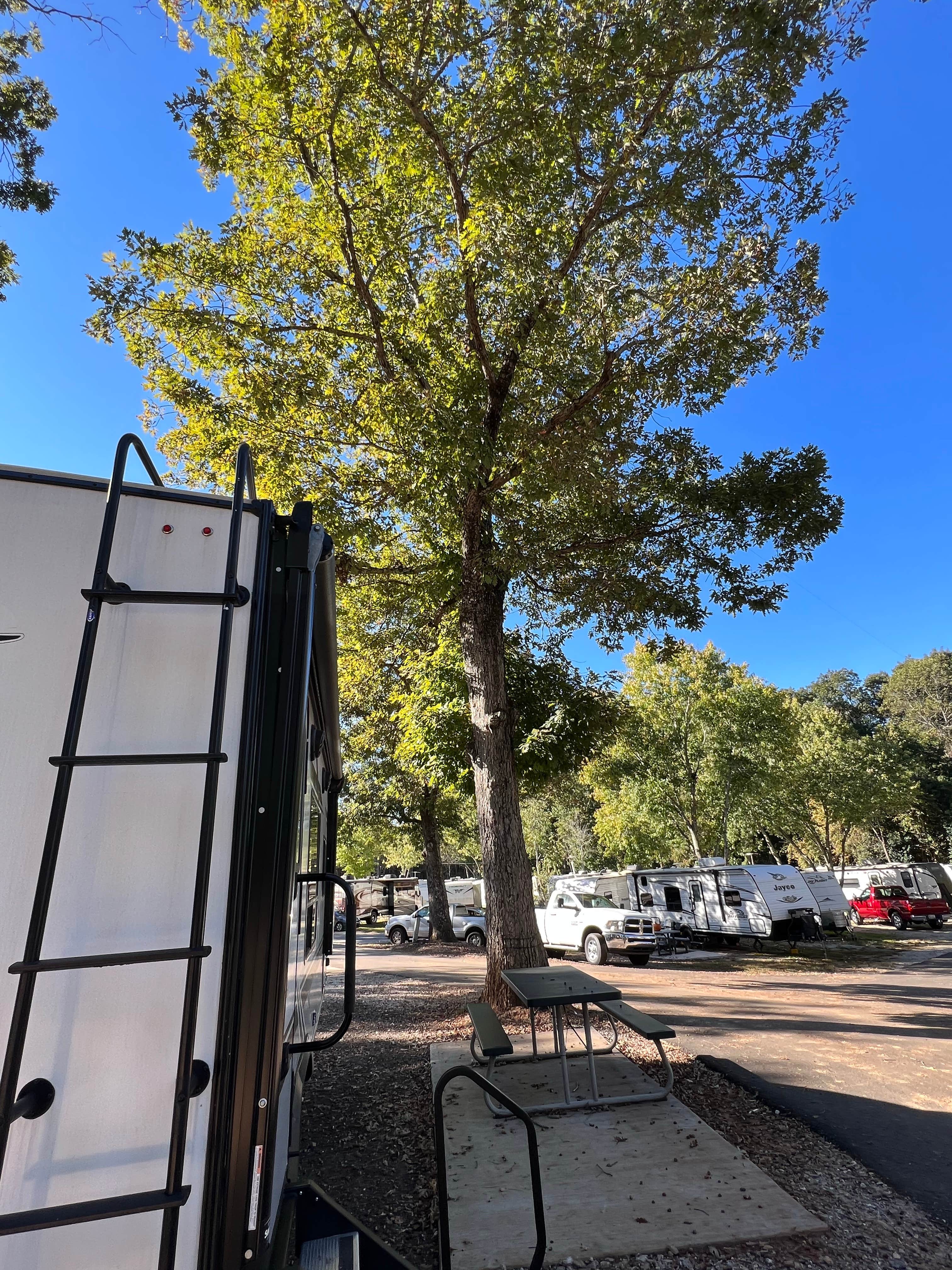 Camper submitted image from Springwood RV Park - 2