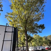 Review photo of Springwood RV Park by Joe P., October 19, 2021