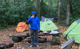 Nick C.'s photo at 58 Nicks Nest Branch near Great Smoky Mountains National Park