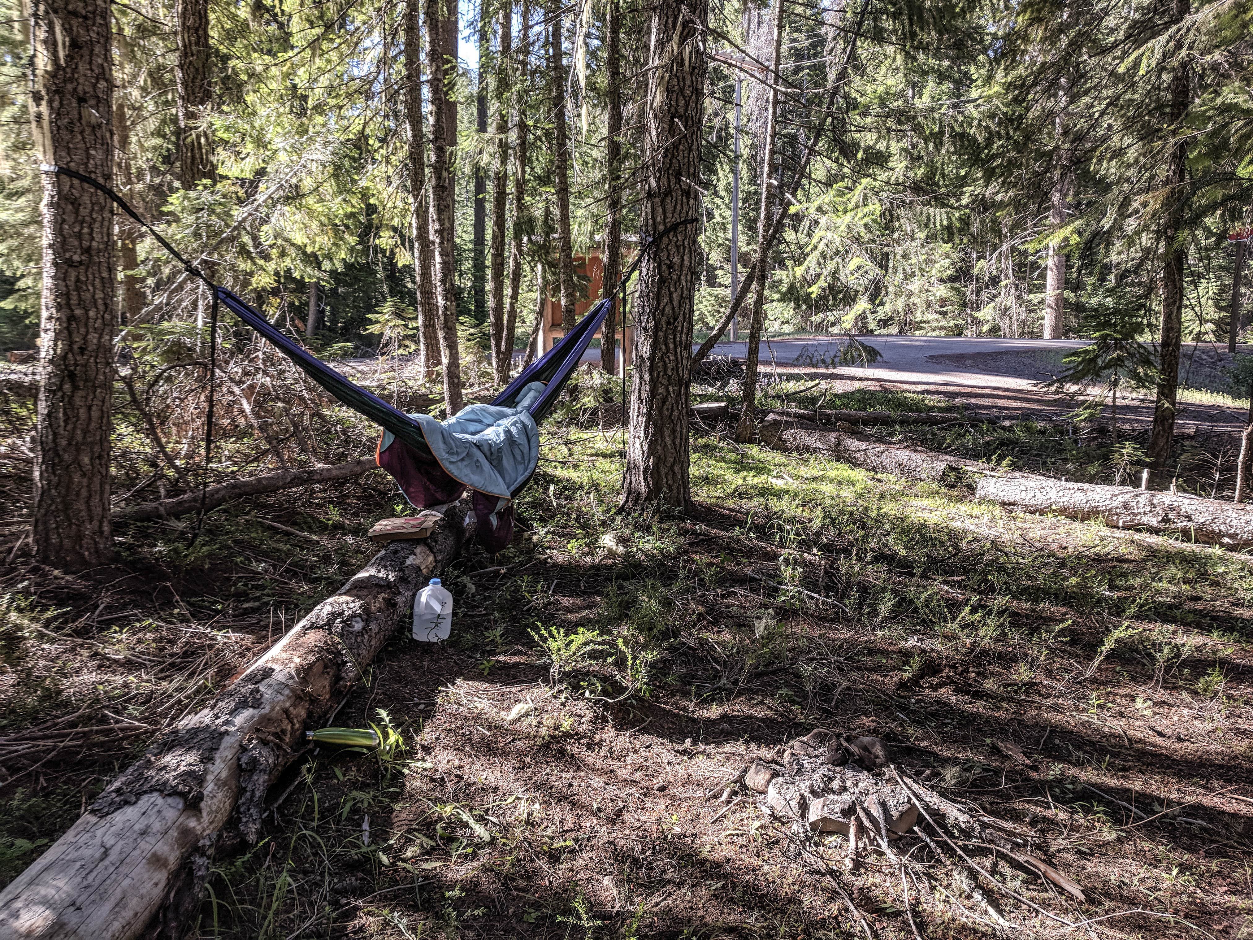 Camper submitted image from Thielson Forest Camp - 2