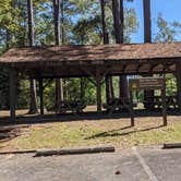 Review photo of Belmont Park — Black Warrior And Tombigbee Lakes by Hannah W., October 19, 2021