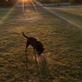 Review photo of Country Corners Campground & RV Park by Chelann L., October 19, 2021