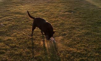 Chelann L.'s photo of camping with pets at Country Corners Campground & RV Park near Garden City, ID