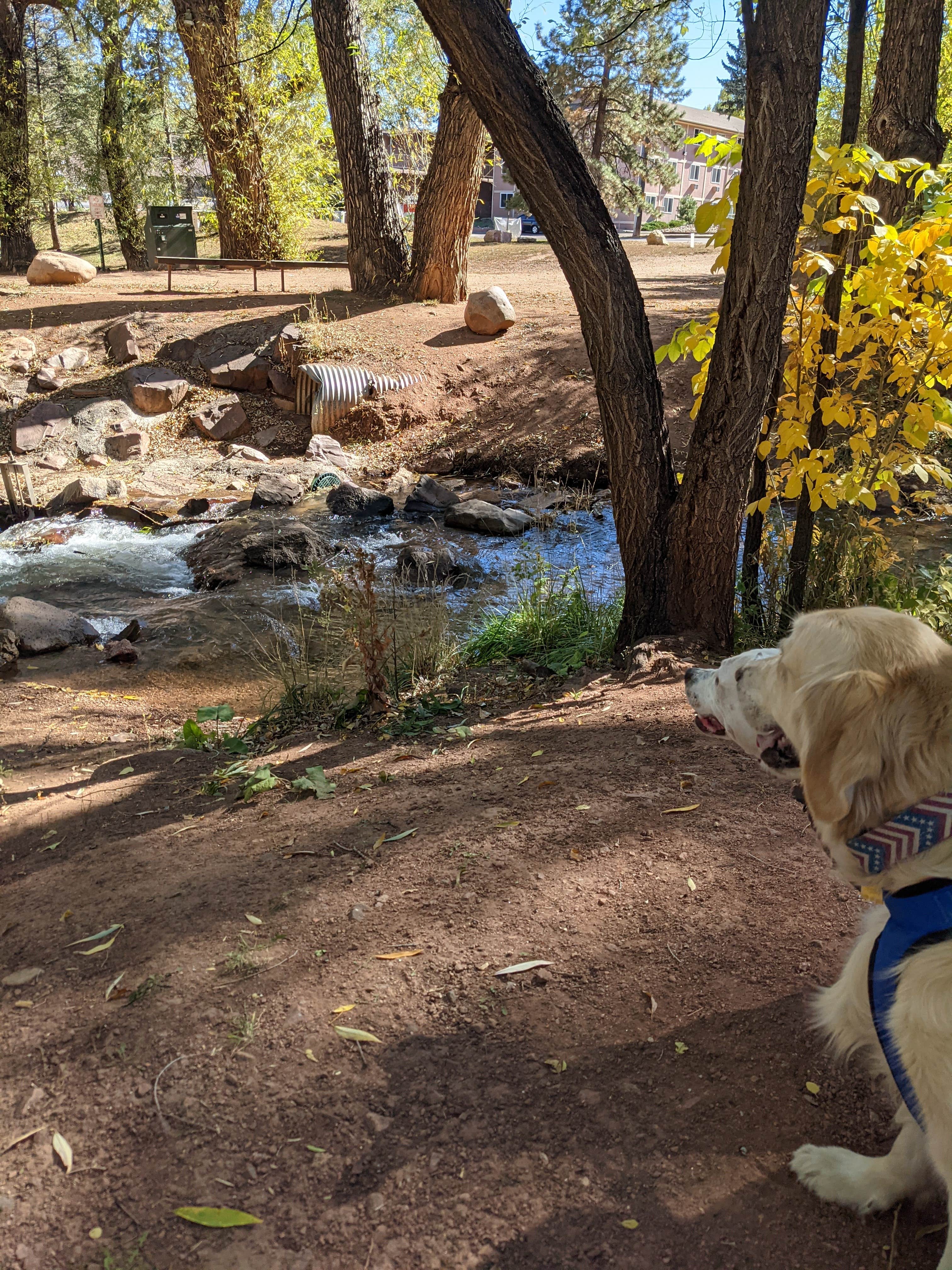 Bonnie R.'s photo of camping with pets at Pikes Peak RV Park near Colorado Springs, CO