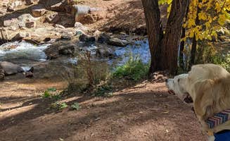 Bonnie R.'s photo of camping with pets at Pikes Peak RV Park near Green Mountain Falls, CO