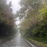 Review photo of Fairholme Campground — Olympic National Park by Katie B., October 19, 2021