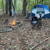 Review photo of COE Lake Ouachita Crystal Springs Campground by Candace R., October 19, 2021