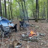 Review photo of COE Lake Ouachita Crystal Springs Campground by Candace R., October 19, 2021