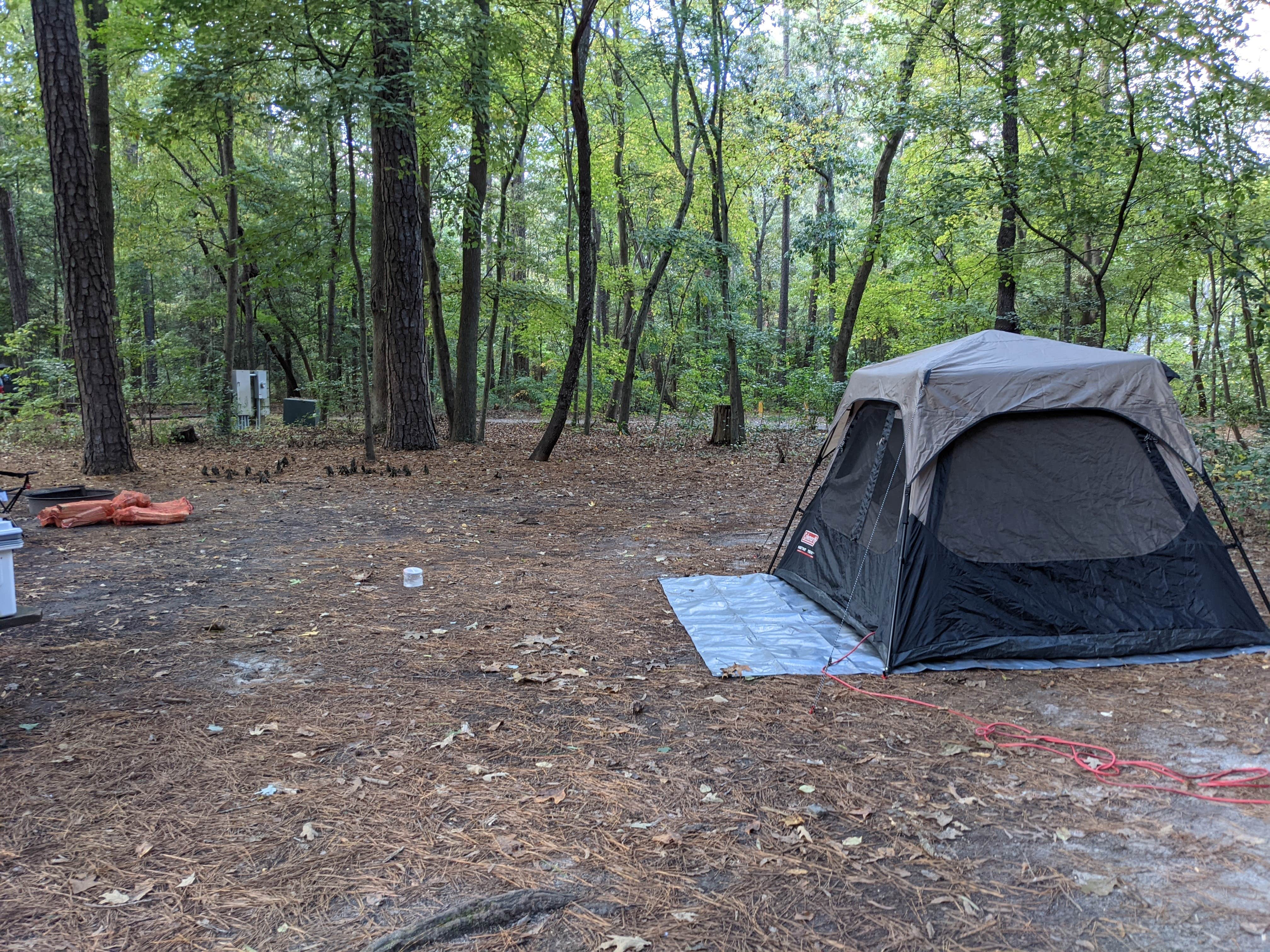 beth's photo at Trap Pond State Park Campground near Dagsboro, DE