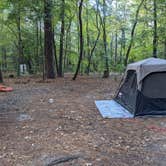 Review photo of Trap Pond State Park Campground by beth , October 19, 2021